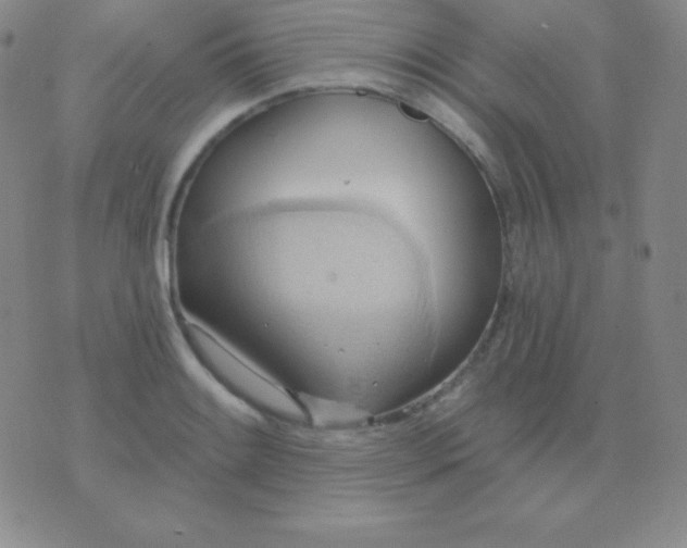 X0000076221084200610122044