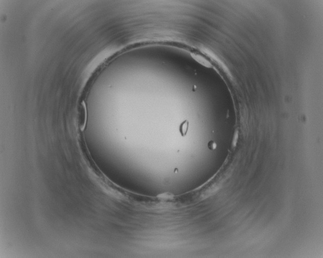 X0000076221085200610122044