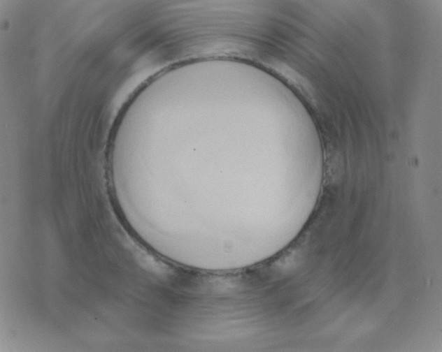 X0000076221086200610122044