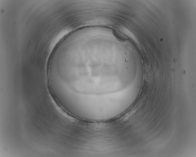 X0000076221087200610122044