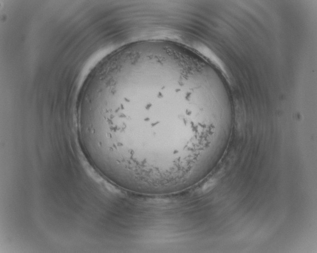 X0000076221088200610122044