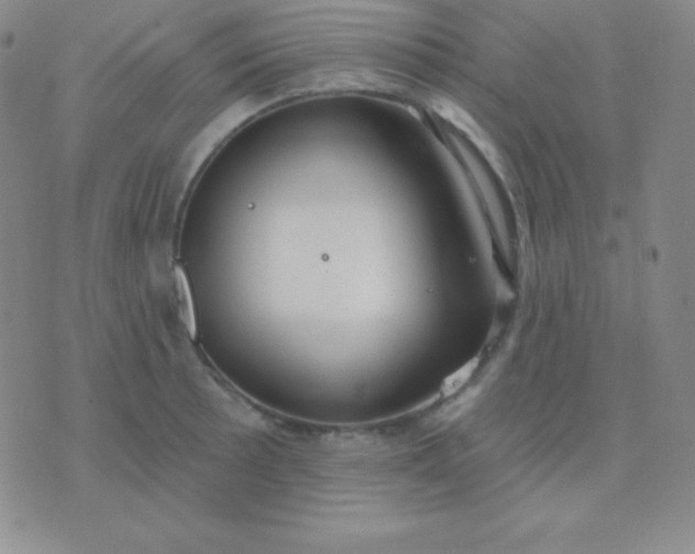 X0000076221089200610122044