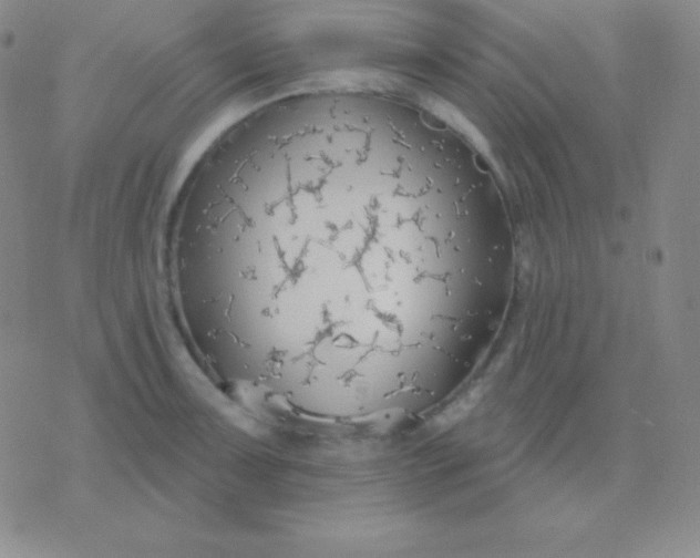 X0000076221091200610122044