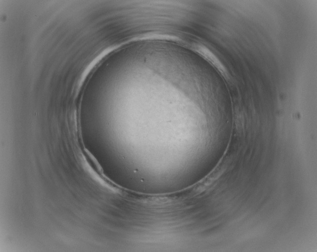 X0000076221092200610122044