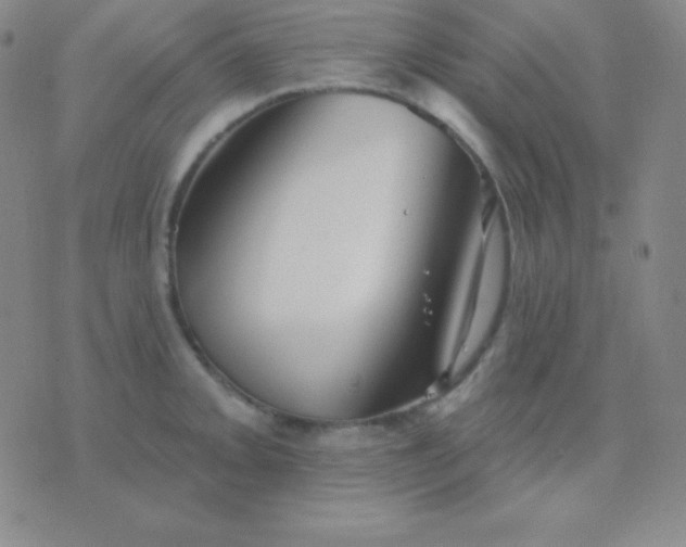 X0000076221093200610122044