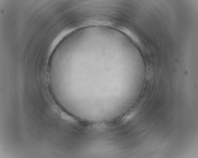 X0000076221094200610122044