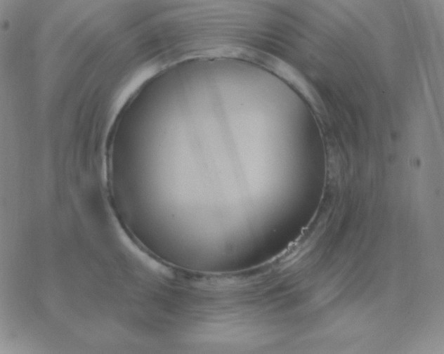 X0000076221095200610122044