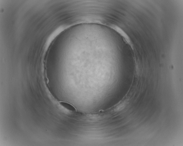 X0000076221096200610122044