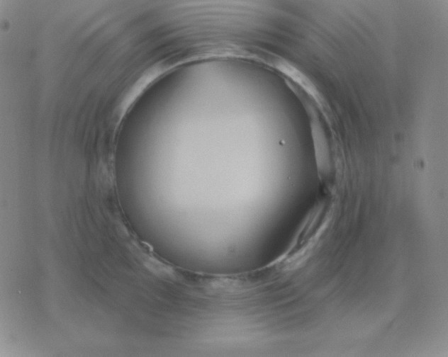 X0000076221097200610122044