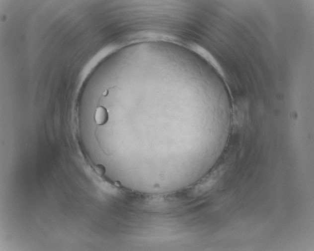 X0000076221098200610122044