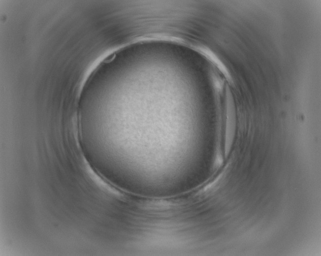 X0000076221100200610122044