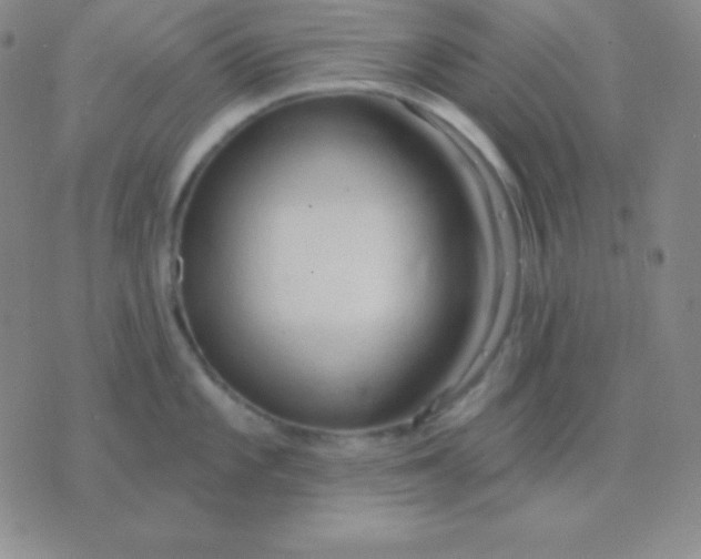 X0000076221101200610122044