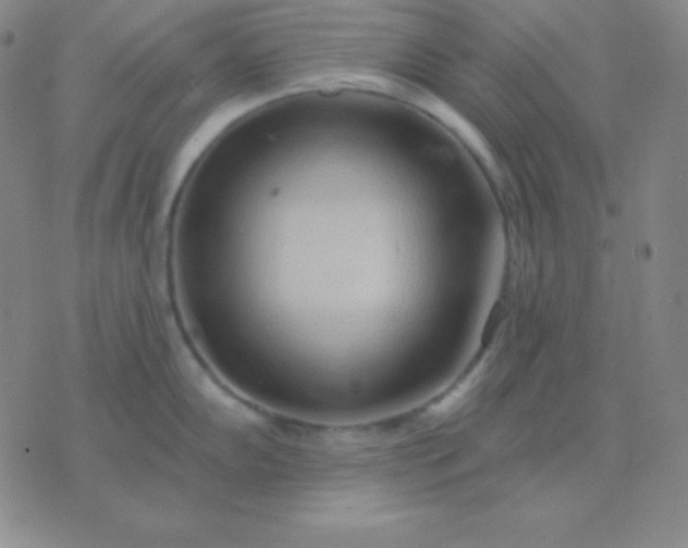 X0000076221102200610122043