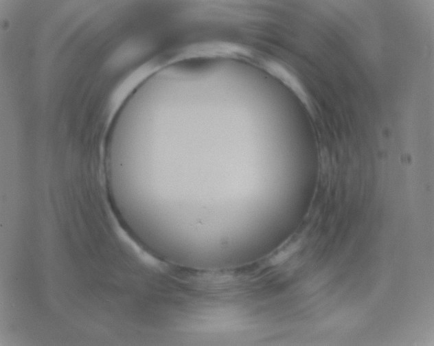 X0000076221103200610122043