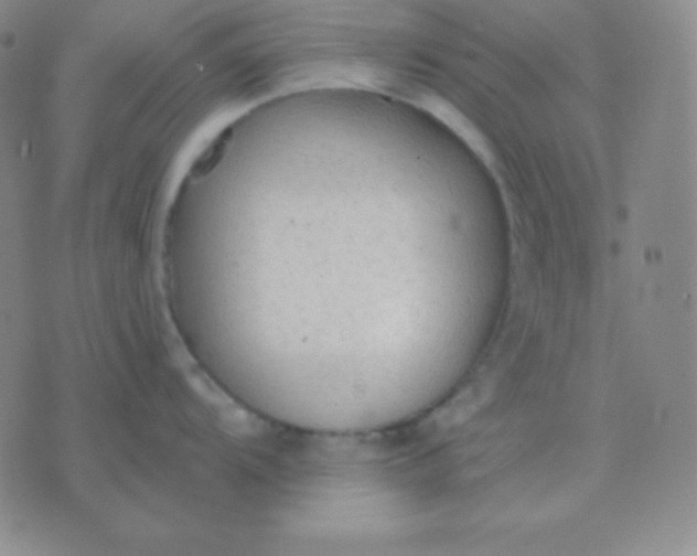 X0000076221104200610122043