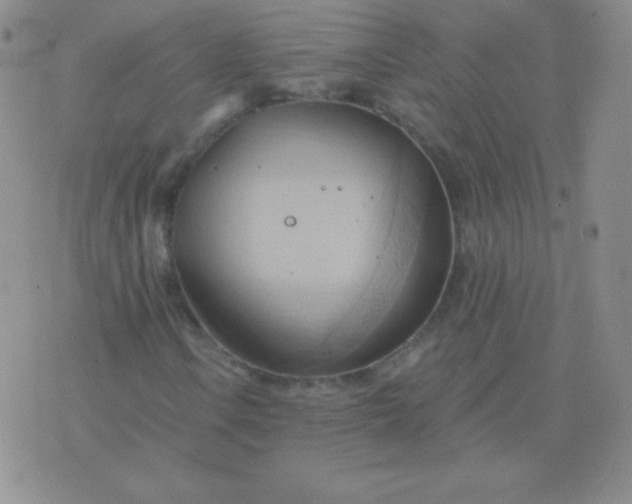 X0000076221106200610122043