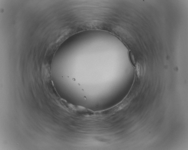 X0000076221107200610122043