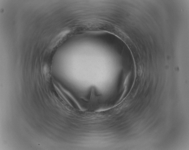 X0000076221108200610122043