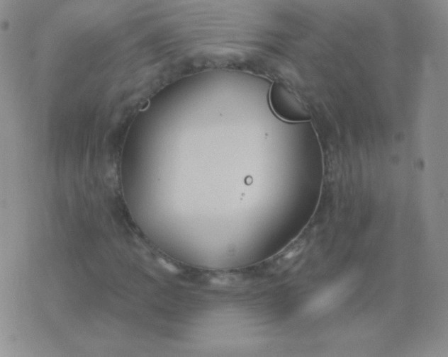 X0000076221109200610122043