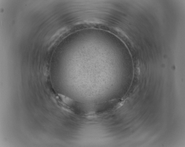 X0000076221110200610122043