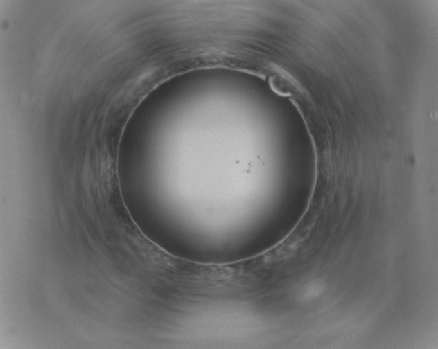 X0000076221111200610122043