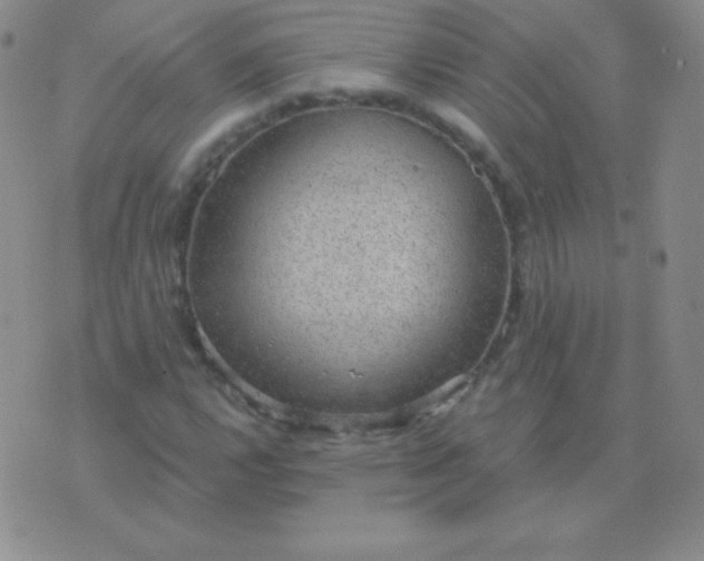 X0000076221112200610122043