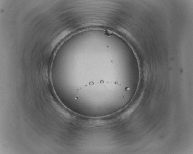 X0000076221113200610122043