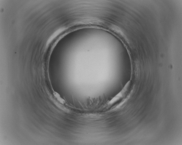 X0000076221114200610122043