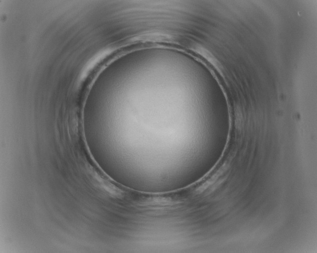 X0000076221115200610122043