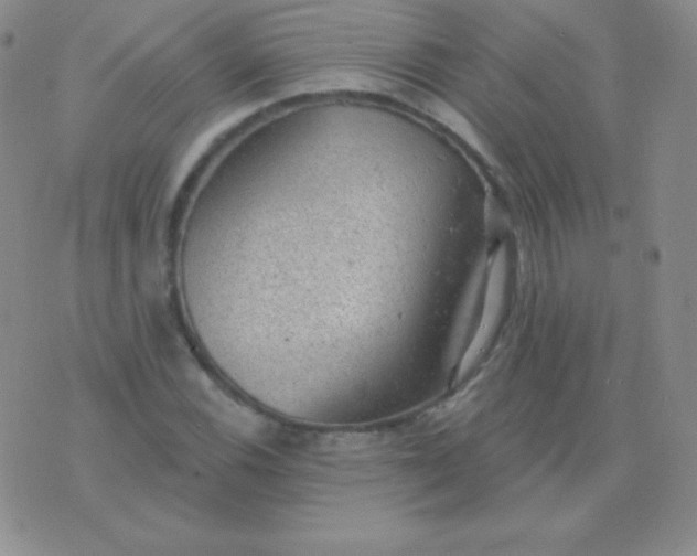 X0000076221116200610122043