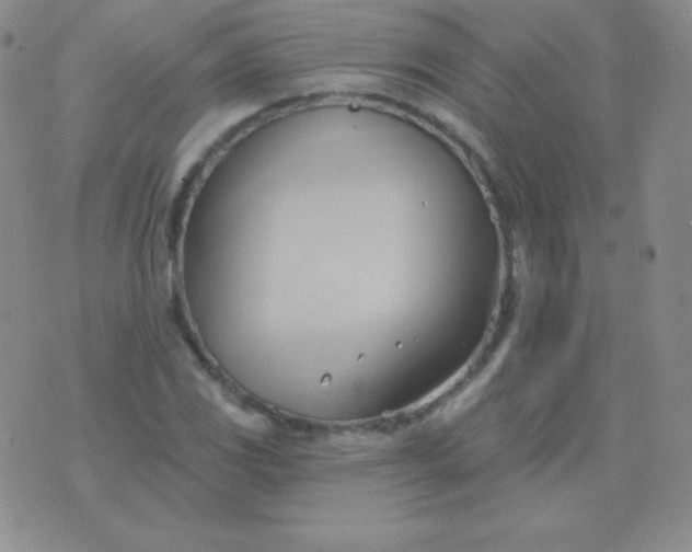 X0000076221117200610122043