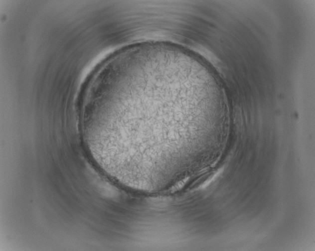 X0000076221118200610122043