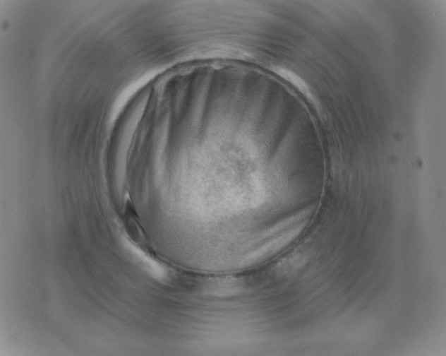 X0000076221120200610122043