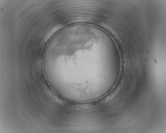 X0000076221121200610122043