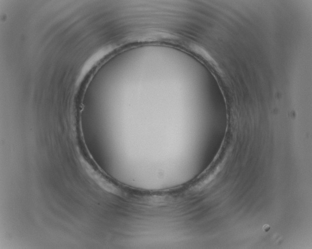 X0000076221122200610122043