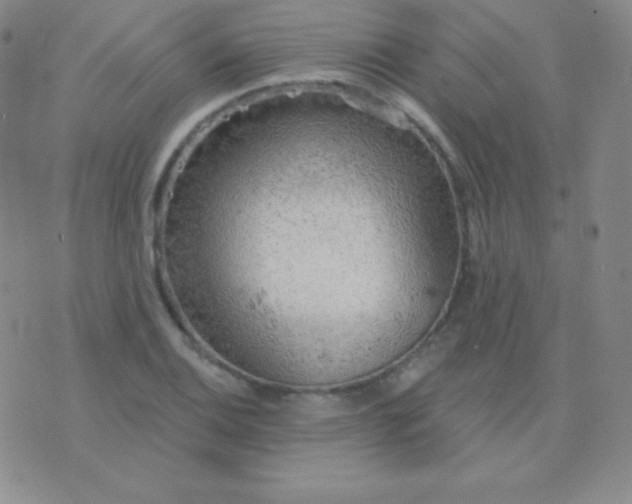 X0000076221124200610122043