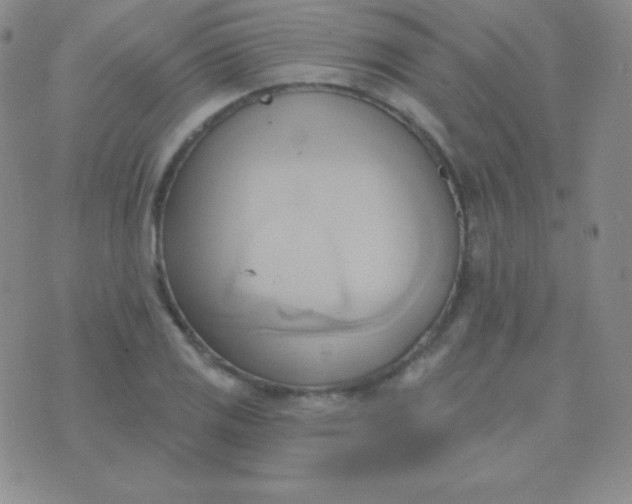 X0000076221125200610122043