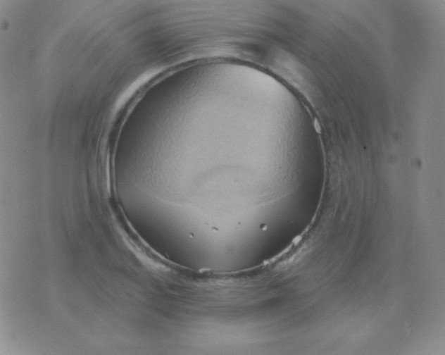 X0000076221127200610122043