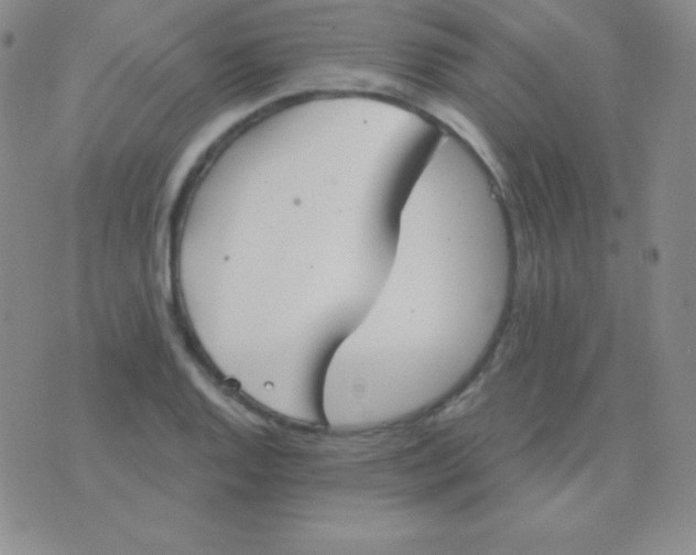 X0000076221128200610122043