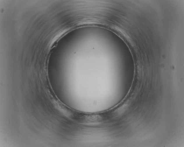 X0000076221129200610122043