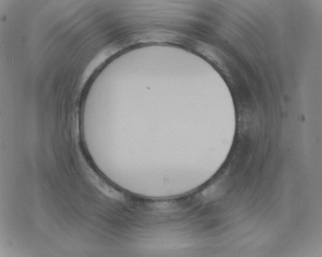 X0000076221130200610122043