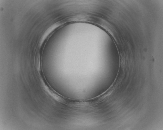 X0000076221131200610122043