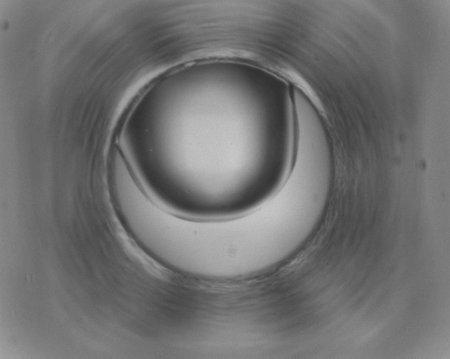 X0000076221132200610122043