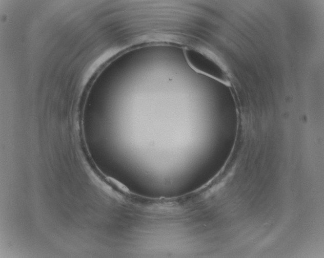 X0000076221133200610122043