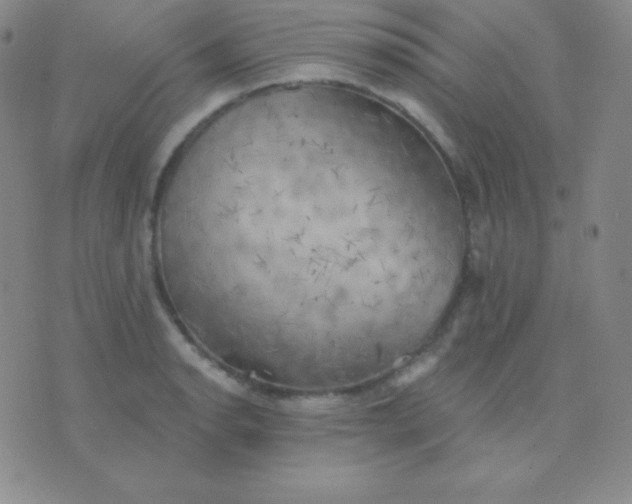 X0000076221134200610122043