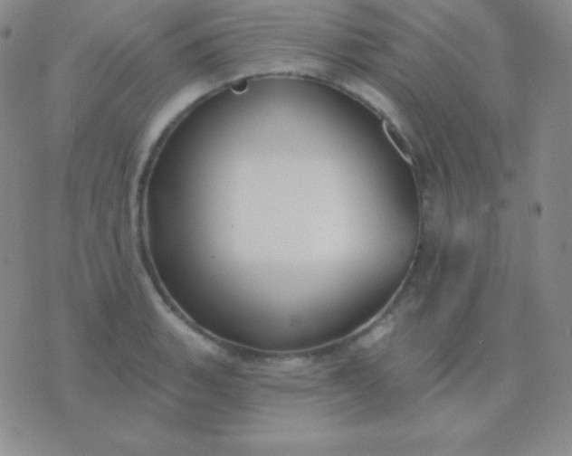 X0000076221135200610122043