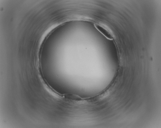 X0000076221136200610122043