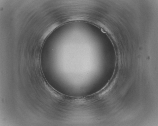 X0000076221137200610122043