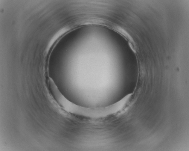 X0000076221138200610122043