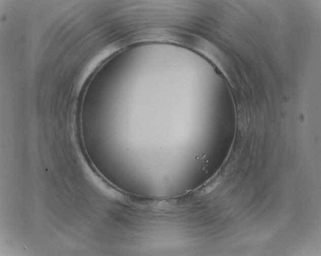 X0000076221139200610122043